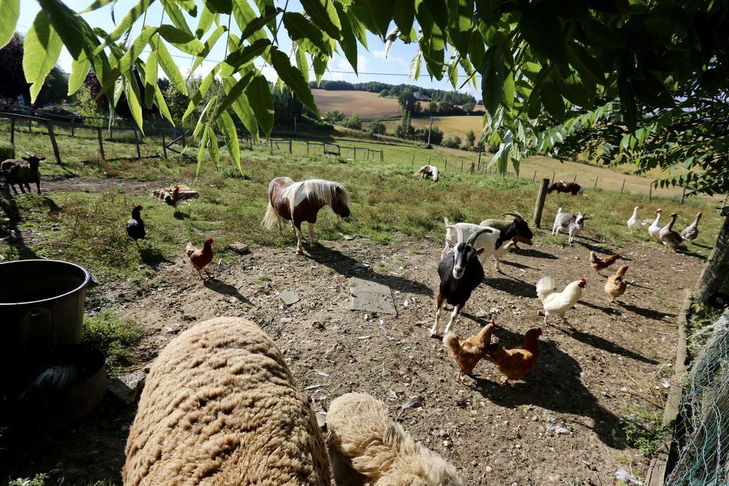 הוילה Castelnaud-de-Gratecambe La Ferme Couderc מראה חיצוני תמונה