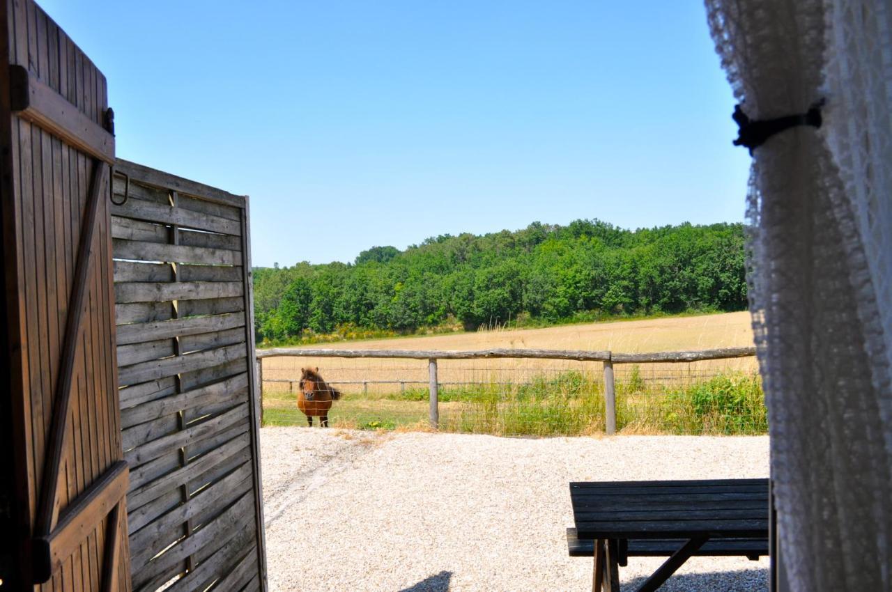 הוילה Castelnaud-de-Gratecambe La Ferme Couderc מראה חיצוני תמונה